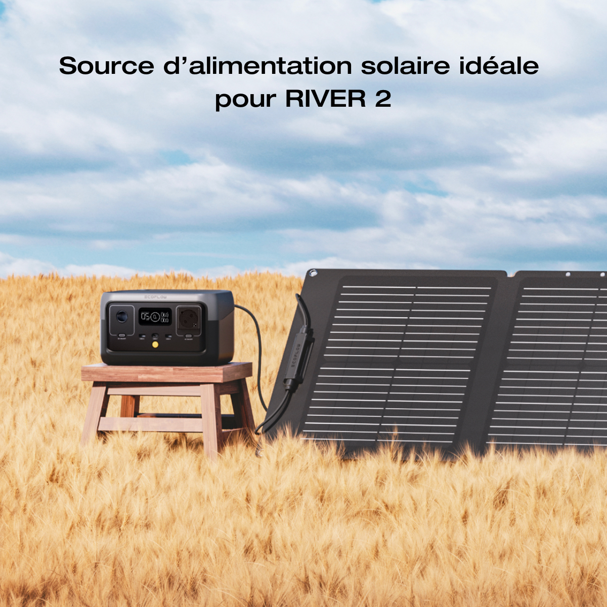 panneau solaire pliable ecoflow 60W